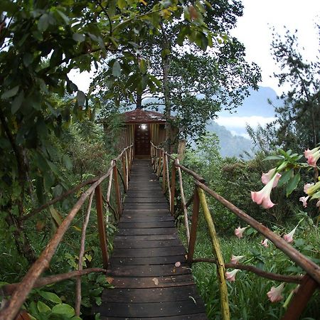 The Tree House Hotel Ginigathena Esterno foto