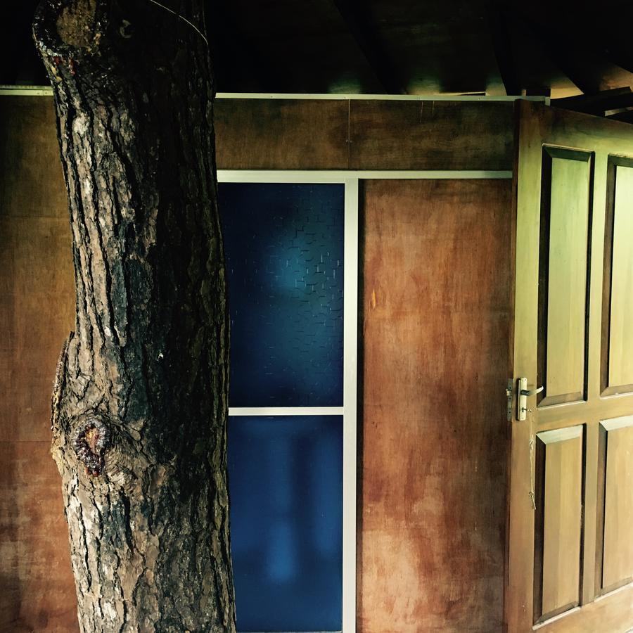 The Tree House Hotel Ginigathena Esterno foto