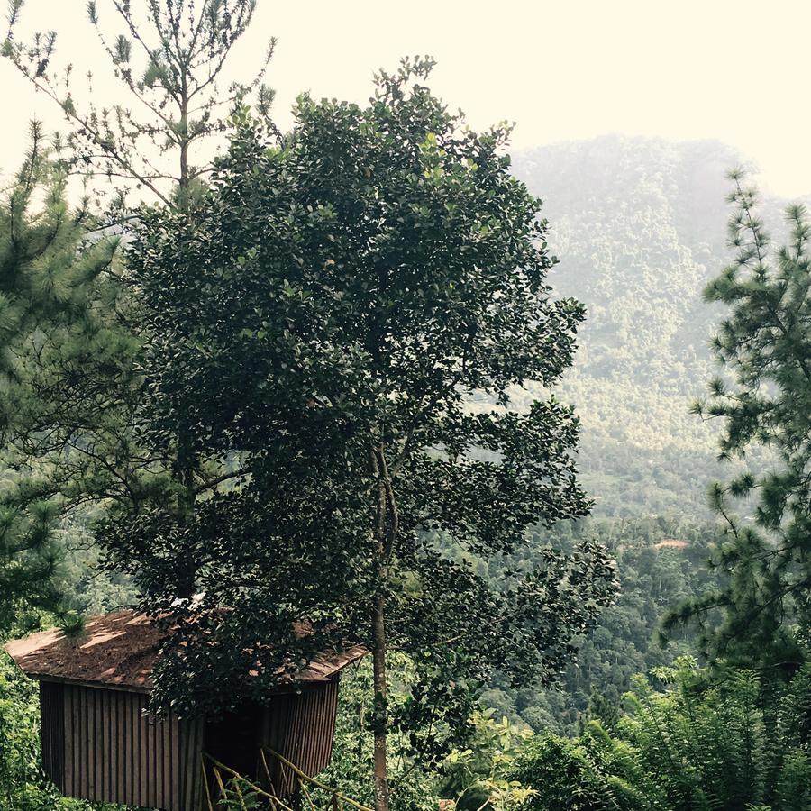 The Tree House Hotel Ginigathena Esterno foto