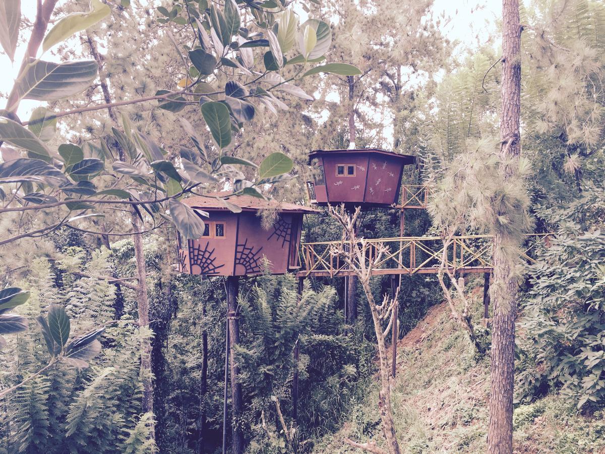 The Tree House Hotel Ginigathena Esterno foto