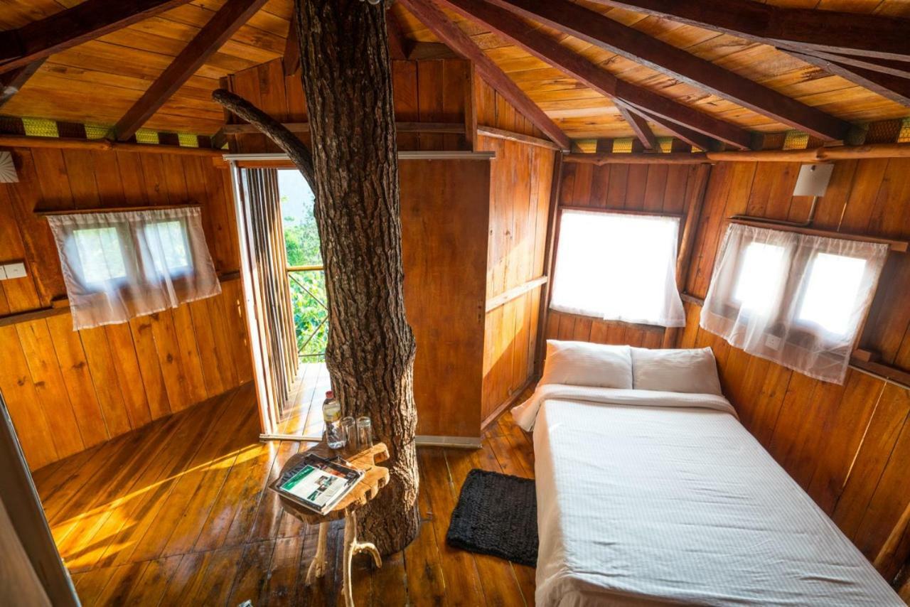 The Tree House Hotel Ginigathena Esterno foto